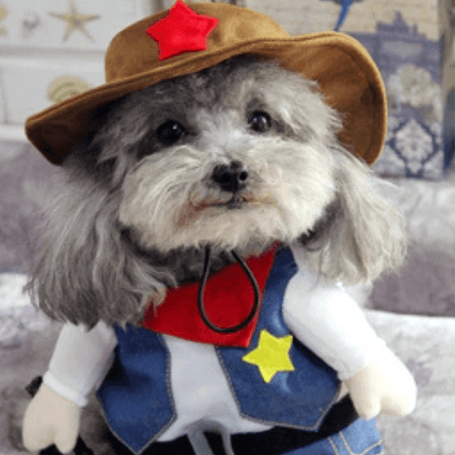Cowboy -  Pet Halloween Costume - San Frenchie