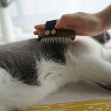 Load image into Gallery viewer, Pet Massage Comb
