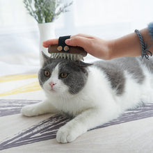 Load image into Gallery viewer, Pet Massage Comb
