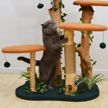 Load image into Gallery viewer, Brown Wood House Cat Tree
