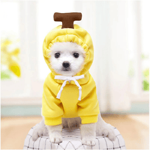 Load image into Gallery viewer, Cute Winter Pet Hoodie - San Frenchie

