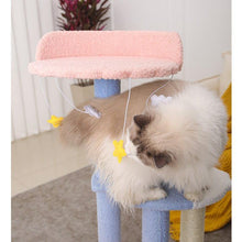Load image into Gallery viewer, Ocean View Cat Climbing Tree - San Frenchie

