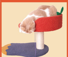 Load image into Gallery viewer, Vegetable Design Cat Climbing Frame
