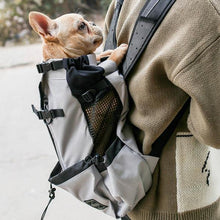 Load image into Gallery viewer, Pet Carrier Backpack - San Frenchie
