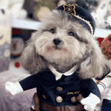 Load image into Gallery viewer, Navy Police -  Pet Halloween Costume - San Frenchie
