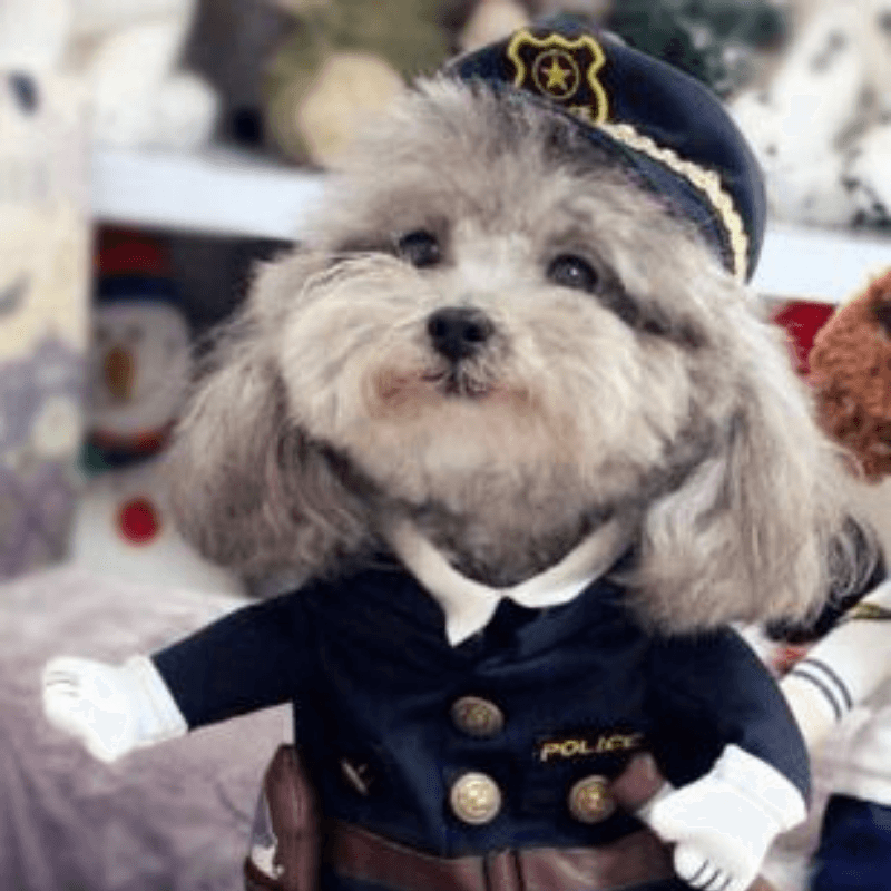Navy Police -  Pet Halloween Costume - San Frenchie