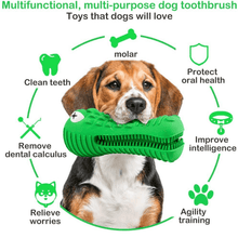 Load image into Gallery viewer, Crocodile Toothbrush and Chew Toy - San Frenchie
