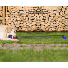 Load image into Gallery viewer, Interactive Dog Chew Toys - San Frenchie
