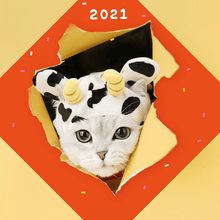 Load image into Gallery viewer, Cat Cow Cloak - Pet Halloween Costume - San Frenchie
