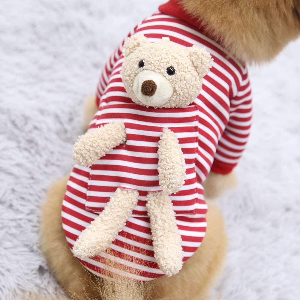 Teddy bear best sale pocket sweater