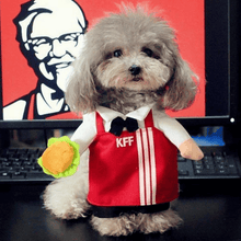 Load image into Gallery viewer, KFC Uniform -  Pet Halloween Costume - San Frenchie
