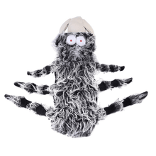 Load image into Gallery viewer, Webby Spider - Pet Halloween Costume - San Frenchie
