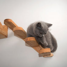 Load image into Gallery viewer, Pet Cat Wall Mount Staircase

