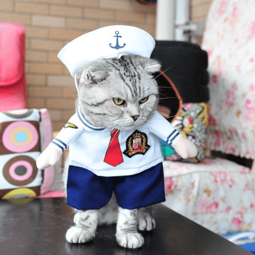 Sailor -  Pet Halloween Costume - San Frenchie