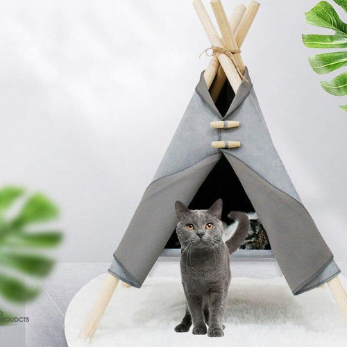 Canvas Pet Tepee Bed - San Frenchie