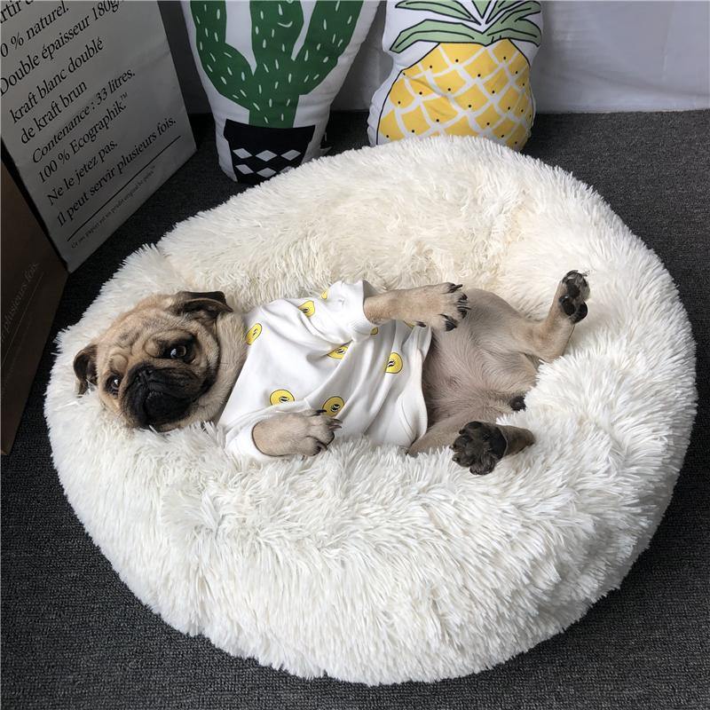Donut Calming Bed for Dogs and Cats - San Frenchie