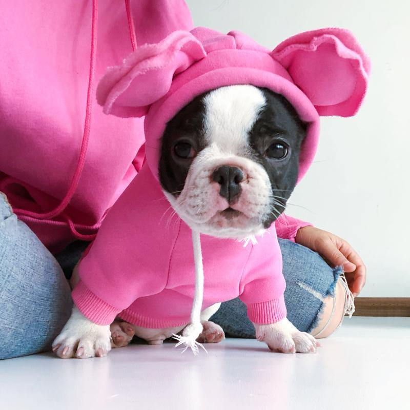Cozy Bear Shaped Hoodie for your Pets - San Frenchie