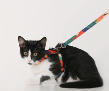 Load image into Gallery viewer, Colorful Pet Harness - San Frenchie
