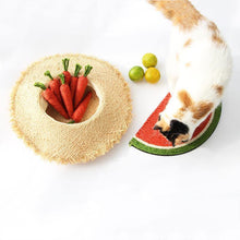 Load image into Gallery viewer, Fruit Shaped Cat Stracher Toy - San Frenchie
