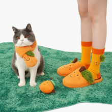 Load image into Gallery viewer, Matching Pet and Owner Orange Costumes
