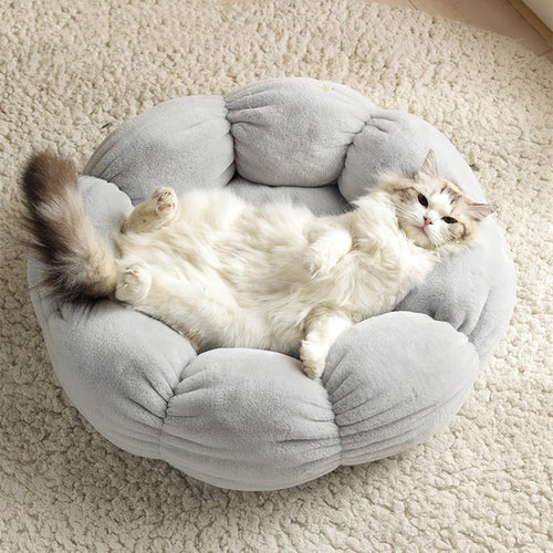 Flower Shaped Plush Cat Mat Bed - San Frenchie