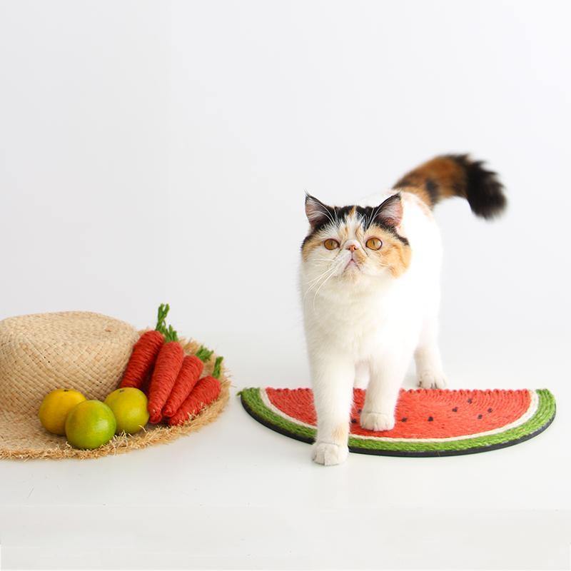 Fruit Shaped Cat Stracher Toy - San Frenchie