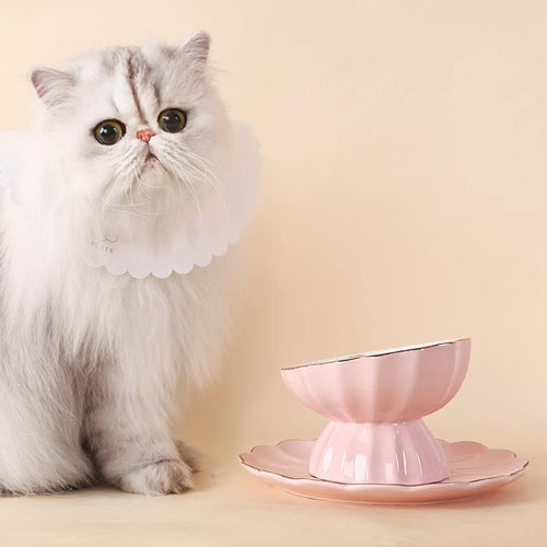 Handmade Royal Ceramic Cat Bowl Set - San Frenchie