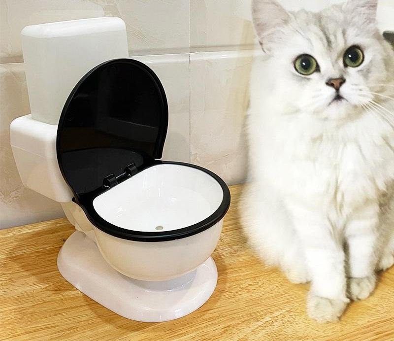 Funny Toilet Water Dispenser for Pets - San Frenchie