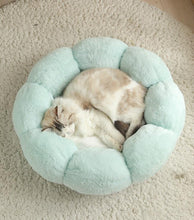 Load image into Gallery viewer, Flower Shaped Plush Cat Mat Bed - San Frenchie
