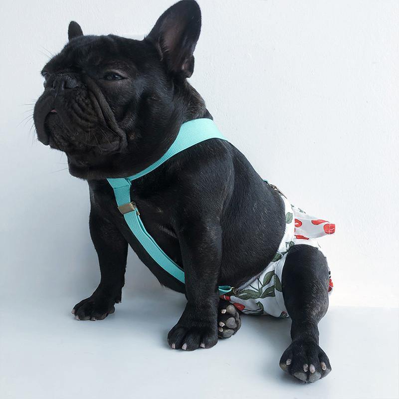 Adjustable Sanitary Pantie for Dogs - San Frenchie