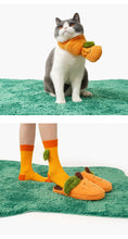 Load image into Gallery viewer, Matching Pet and Owner Orange Costumes
