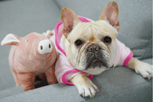 Load image into Gallery viewer, Fancy Pink Pet Sleeping Clothes - San Frenchie

