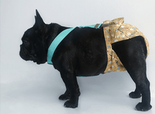 Load image into Gallery viewer, Adjustable Sanitary Pantie for Dogs - San Frenchie
