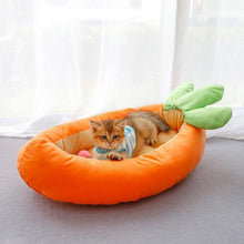 Load image into Gallery viewer, Cartoon Duck Carrot Cat House - San Frenchie

