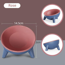 Load image into Gallery viewer, Contrasting Color Oblique Pet Bowl - San Frenchie
