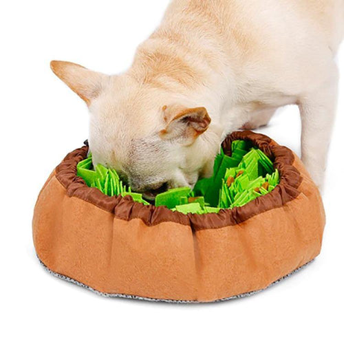 Snuffle Bowl - San Frenchie