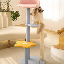 Load image into Gallery viewer, Ocean View Cat Climbing Tree - San Frenchie

