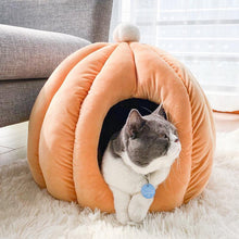 Load image into Gallery viewer, Cactus Pet Cave and Bed - San Frenchie
