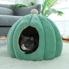 Load image into Gallery viewer, Cactus Pet Cave and Bed - San Frenchie
