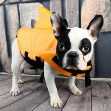 Load image into Gallery viewer, Shark Dog Safety Life Jacket - San Frenchie
