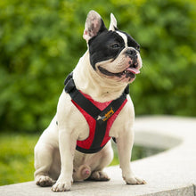 Load image into Gallery viewer, Easy Walk Dog Harness - San Frenchie
