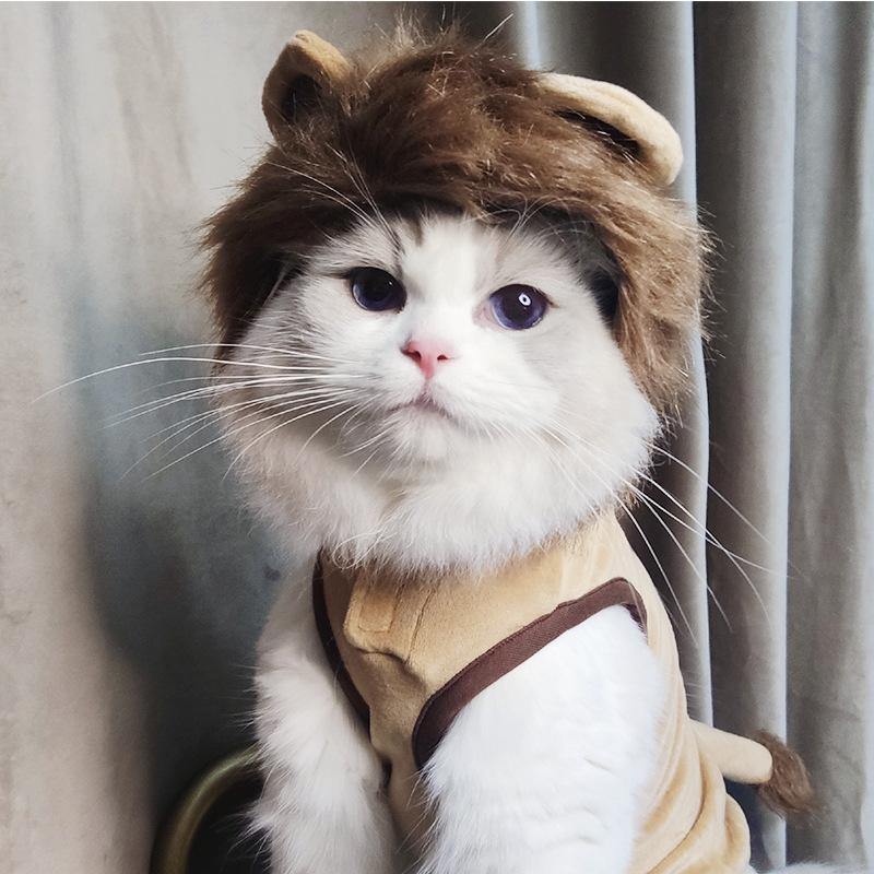 Lion -  Pet Halloween Costume - San Frenchie