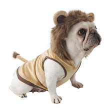 Load image into Gallery viewer, Lion -  Pet Halloween Costume - San Frenchie

