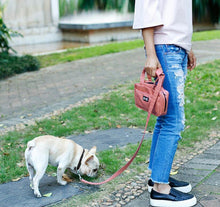 Load image into Gallery viewer, Owner&#39;s Bag with Dog Leash - San Frenchie
