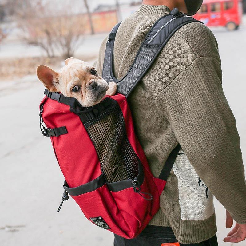 Pet Carrier Backpack - San Frenchie