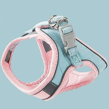 Load image into Gallery viewer, Harness and Leash Set - San Frenchie
