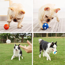 Load image into Gallery viewer, Latex Sports Ball for Dogs - San Frenchie

