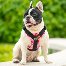 Load image into Gallery viewer, Easy Walk Dog Harness - San Frenchie
