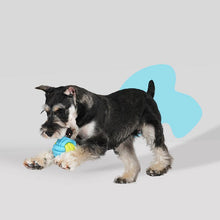 Load image into Gallery viewer, Playful Rope Ball Dog Toy - San Frenchie
