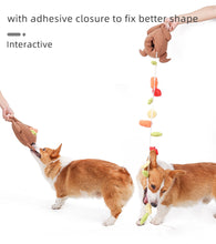 Load image into Gallery viewer, Chicken Snuffle Toy
